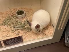 -龙猫仔乐园(惠福东路店)