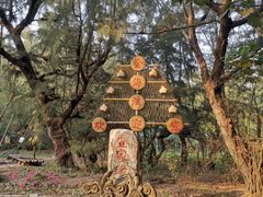 -北海金海湾红树林生态旅游区