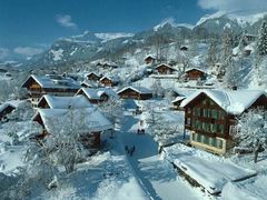 -北极村旅游风景区