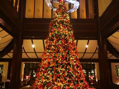 -杭州西子湖四季酒店·金沙厅