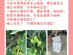 -德宏芒市国际机场