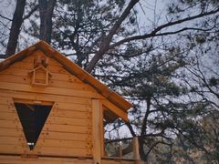 -北京西山国家森林公园