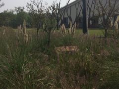 -长兴岛郊野公园农场食堂