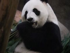 -香港海洋公园