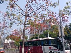 -点都德(广州白云山景区南门店)