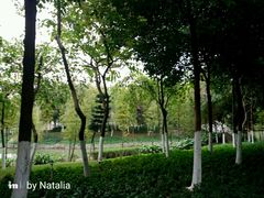 -怡海公园(桂城街道)