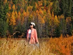 -五营红松林海景区