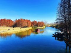 -溱湖国家湿地公园