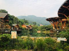 -杭州开元森泊度假乐园