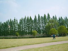 -杭州城北体育公园