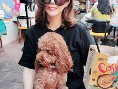 -半坡九号老挝冰咖啡