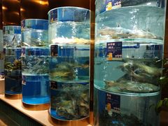 -香坝坝鲜鱼火锅(春熙路店)