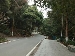 -火炉山森林公园