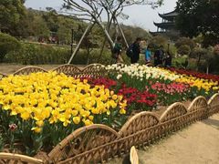 -白马涧龙池景区