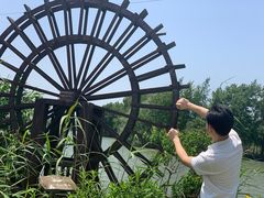 -白塔湖国家湿地公园