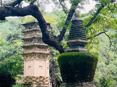 -潭柘寺景区