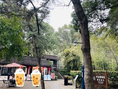 -兰亭风景区
