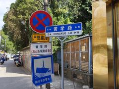 -邓氏大薄片