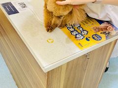 -萌兽医馆·犬猫专科·眼科中心·宠物医院(朝阳门分院)