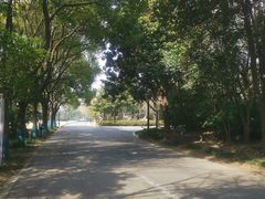 -春兰国宾馆(凤城河风景区老街店)