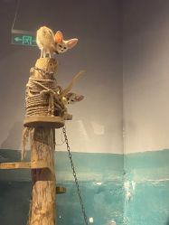 -未来动物城动物主题公园(大悦城店)