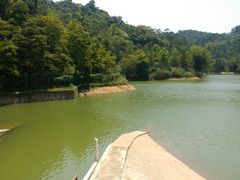-中山市树木园