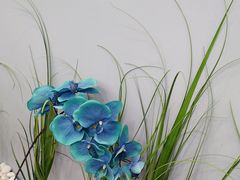 -福禄财东北菜(珠江帝景店)