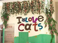 -藏猫猫咖啡主题馆(中央大道店)