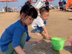 -日照海滨国家森林公园