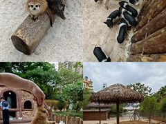 -福州罗源湾海洋世界旅游区