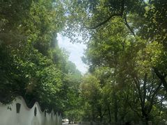 -天目湖御水温泉·度假酒店