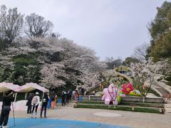 -杭州少年儿童公园