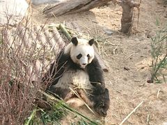 -青藏高原野生动物园