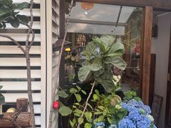 -concerto协奏曲咖啡店