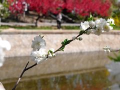 -元大都城垣遗址公园