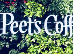 -Peet's Coffee皮爷咖啡(大学路店)