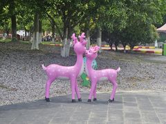 -中国扬子鳄村