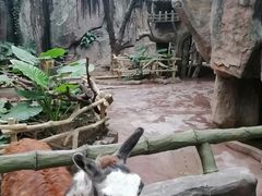 -长鹿旅游休博园