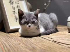 -周村古商城-状元府