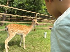 -秦皇岛野生动物园