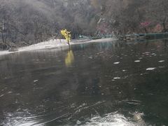 -少华山国家森林公园