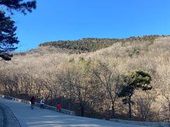 -北京西山国家森林公园