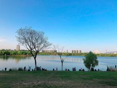 -灞河西岸滨河公园