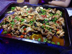 -蛙来哒(华隆步步高店)