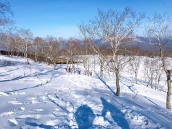 -大秃顶子山