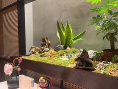 -许家菜(DT51店)