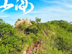 -大岭沟猕猴桃谷风景区