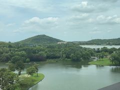 -佘山世茂艾美·御珍轩中餐厅
