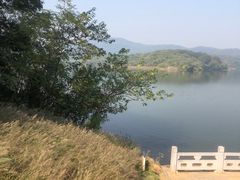 -佛手湖郊野公园