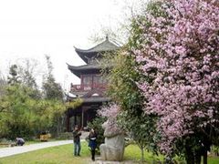 -堤角公园